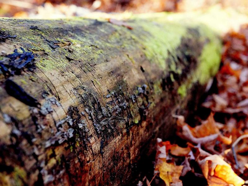sudoku pattern learning screenshot 3